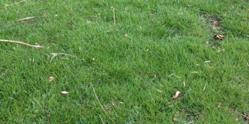 terrain à LES ARTIGUES DE LUSSAC (33570)